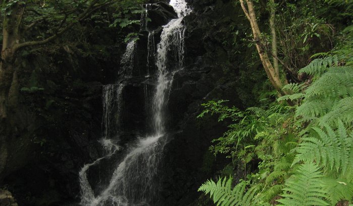 Waterfall