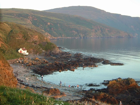 Niarbyl