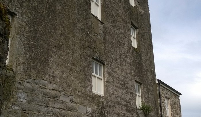 Golden Meadow Mill
