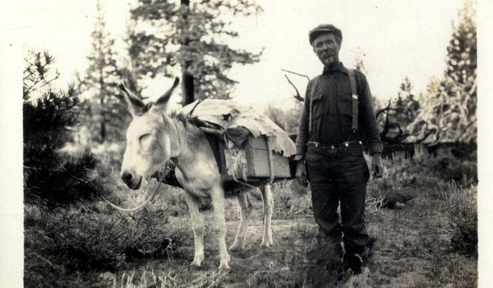 PG/14530/28 Joseph Ward with his burro. Copyright: Manx National Heritage.